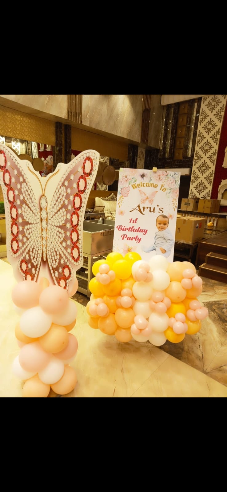  butterfly birthday decorations in jaipur
